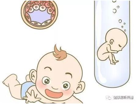 胚胎专家